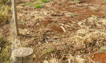 Imagem 2: Lote à Venda no Bairro Chácara Caiçaras - 450m² com Poço Artesiano em Patos de Minas