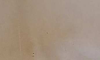 Imagem 6: Casa Padrão - Bairro Sebastião Amorim