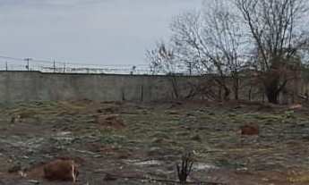 Imagem 5: Lote de 3.000m² à Venda no Alto dos Caiçaras – Excelente Oportunidade de Investimento