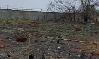 Imagem 2: Lote de 3.000m² à Venda no Alto dos Caiçaras – Excelente Oportunidade de Investimento