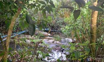 Imagem: Sítio à Venda na Comunidade Caixetas