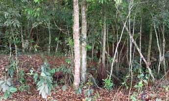 Imagem 5: Sítio à Venda na Comunidade Caixetas – Guimarânia-MG