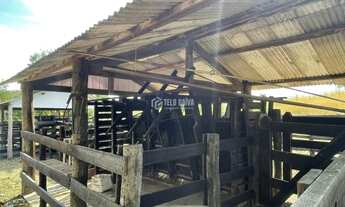 Imagem 2: Fazenda à venda em Cuiabá/MT