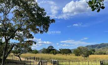 Imagem 4: Fazenda à venda em Cuiabá/MT