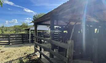 Imagem 5: Fazenda à venda em Cuiabá/MT