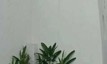 Imagem: Casa Alto Padrão para Venda e Aluguel em