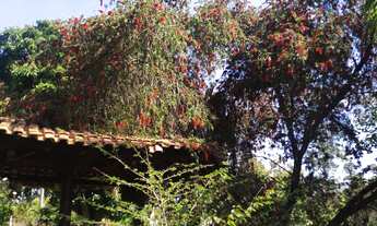 Imagem 2: Chácara à venda no bairro Centro - Botucatu/SP