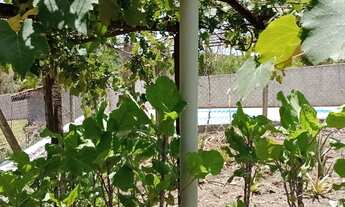 Imagem 3: Chácara em Área Rural de Botucatu, Botucatu/SP