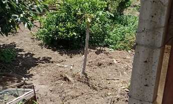 Imagem 5: Chácara em Área Rural de Botucatu, Botucatu/SP
