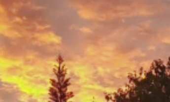 Imagem: Chácara à venda no bairro Vila Real