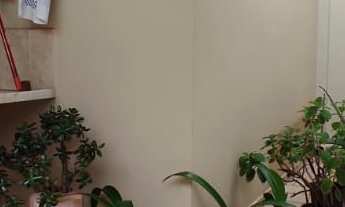 Imagem 2: Casa à venda no bairro Centro - Botucatu/SP