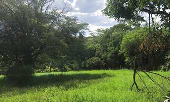 Imagem: Terreno em Condomínio em Chácara Capão