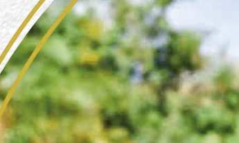 Imagem 5: Terreno em Condomínio Terra Santa - Monte das Oliveiras