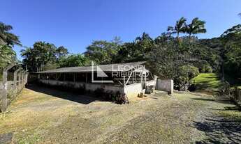 Imagem 5: Sítio com 4 dormitórios à venda, 36.000m² no Bairro Alto Pomeranos em Rio dos Cedros/SC
