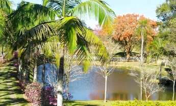 Imagem 6: Chácara Chácara