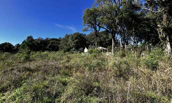 Imagem: Terreno à venda no bairro Ana Rech - Caxias