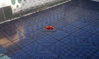 Imagem 3: Casa Sobrado em Paulicéia, São Bernardo do Campo/SP