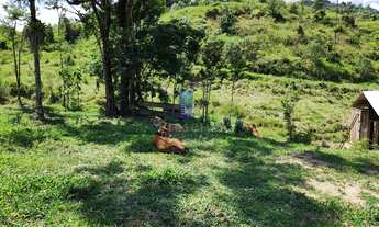 Imagem 3: Chácara de 10 Hectares para Lazer e Eventos - Infraestrutura Completa!