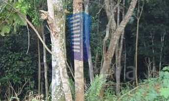 Imagem 3: Terreno no bairro Cabeçudas