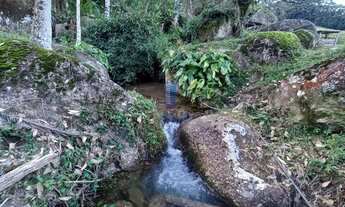 Imagem 3: Sítio com 70 hectares em major gercino