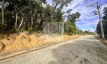 Imagem 4: Loteamento de luxo, encima praia de Pitinga