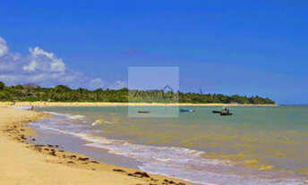 Imagem 2: Terreno beira mar Arraial dAjuda Bahia