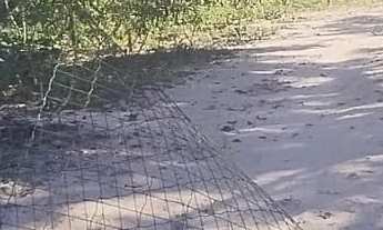 Imagem: TERRENO ATAMI NORTE APROXIMADAMENTE 300