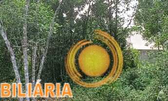 Imagem 2: Terreno 414 mts² - 12 de frente e fundos por 34,50 de ambas as laterais - Ipanema - Pontal