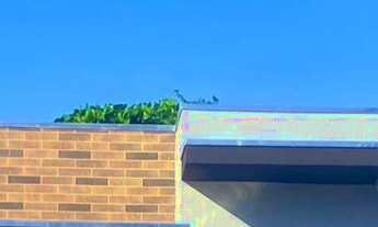 Imagem 2: Casas 2 quartos com suite - Balneário Gaivotas - Matinhos