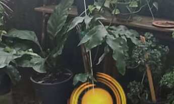 Imagem 7: Sobrado 3 quartos à venda Baln. Pontal do Sul - Pontal do Paraná/PR