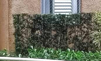 Imagem 6: Apartamento incrível no bairro Cocaia em Guarulhos-SP