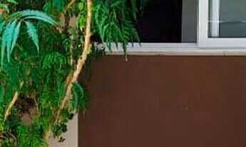 Imagem: Sobrado 347m² c / 3 Suítes c/ 1 Master