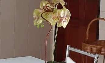 Imagem 4: Casa 126m² c/ 2 Dorms c/ 2 Wc + 1 Vaga Coberta Loc: Jardim Bonfiglioli, Jundiaí-SP