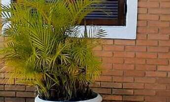 Imagem: Casa 126m² c/ 2 Dorms c/ 2 Wc 1 Vaga