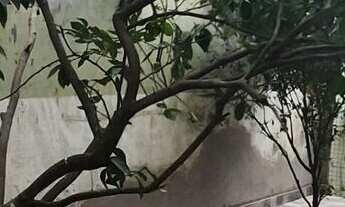 Imagem 2: Condomínio Mirante de Jundiaí, Jundiaí-SP