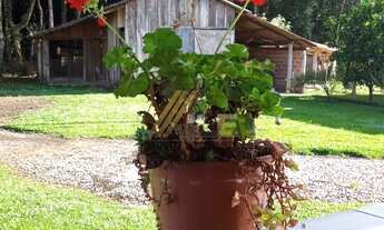 Imagem 7: Chácara com 4970m²