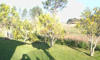 Imagem 4: Chácara com 4970m²