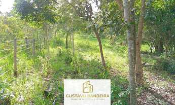 Imagem 4: Chácara à venda no bairro Centro - Vianópolis/GO