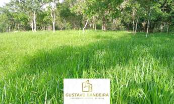 Imagem 3: Chácara à venda no bairro Centro - Vianópolis/GO