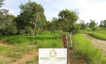 Imagem: Chácara à venda no bairro Centro - Vianópolis/GO