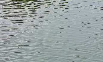 Imagem 2: Fazenda à venda no bairro Centro - Vianópolis/GO