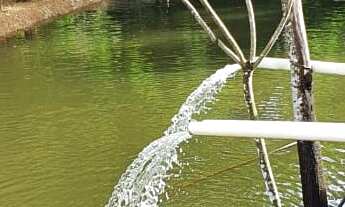 Imagem 6: Fazenda à venda no bairro Centro - Vianópolis/GO