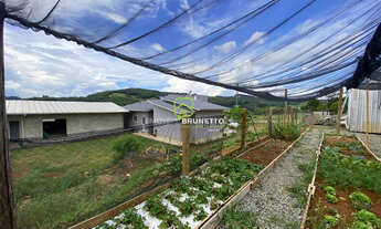 Imagem 4: Pavilhão/Galpão à venda no bairro Alto São Roque - Capinzal/SC