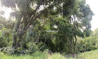 Imagem 4: TERRENO IDEAL PARA LOTEAMENTO