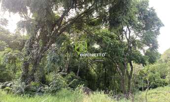 Imagem 4: TERRENO IDEAL PARA LOTEAMENTO