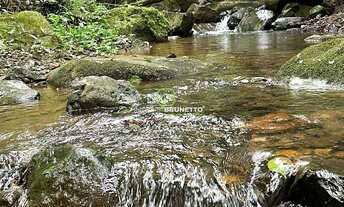 Imagem 2: CHÁCARA COM RIACHOS E NASCENTES EM CHAPECÓ/SC