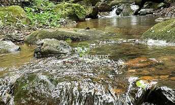 Imagem 2: CHÁCARA COM RIACHOS E NASCENTES EM CHAPECÓ/SC