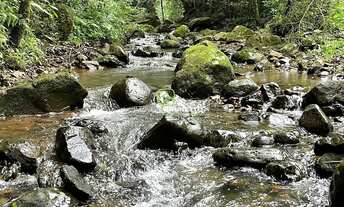 Imagem 3: CHÁCARA COM RIACHOS E NASCENTES EM CHAPECÓ/SC