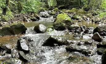 Imagem 3: CHÁCARA COM RIACHOS E NASCENTES EM CHAPECÓ/SC