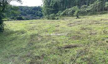 Imagem 6: CHÁCARA COM RIACHOS E NASCENTES EM CHAPECÓ/SC